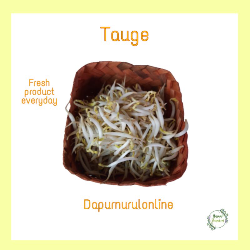 

Toge 250gr - 1 kg
