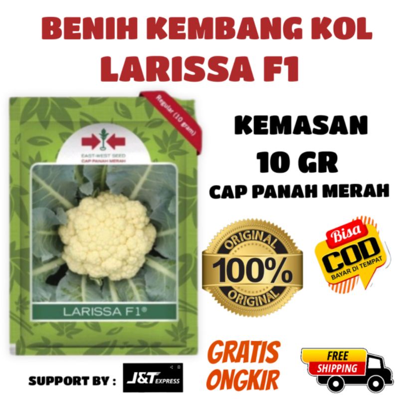 Benih Bibit Kembang Kol Larissa F1 10gr Cap Panah Merah