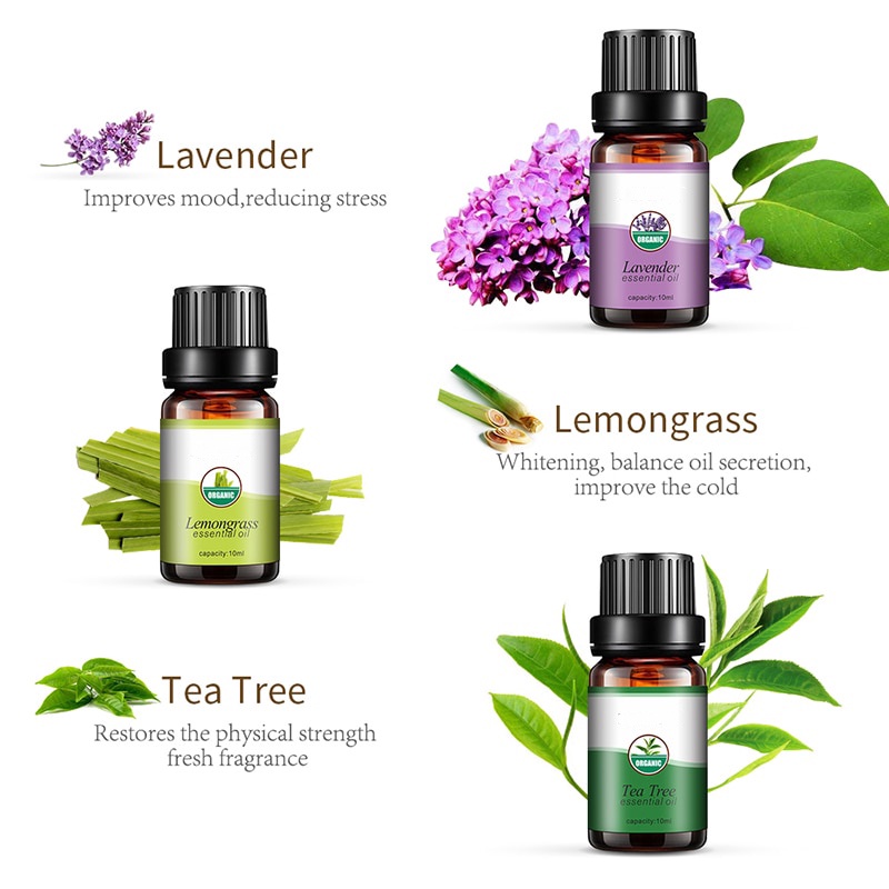 Aromatherapy Essential Oil Pengharum ruangan Aroma Terapi 6 Jenis 10ml