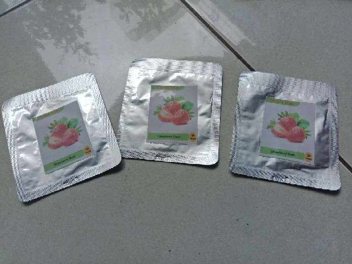 Benih Bibit Biji Strawberry Giant Raksasa Stroberi Strawberi