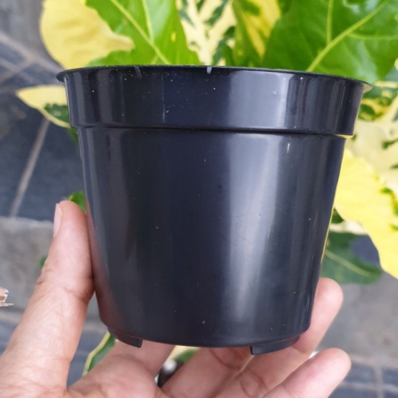 POT HITAM POLOS SRONDOL 10cm pot bunga plastik basic biasa size 10 pot kecil mini murah Pot Gol 10 Hitam