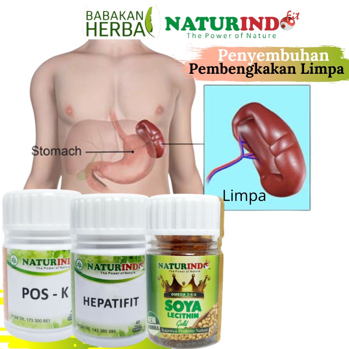 Obat untuk penyakit limpa