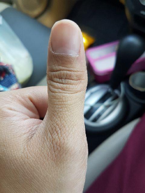 Tempat Spons Cucian Piring/ Gantungan Silikon Spons Cuci Piring /sponge Holder/mini Basket Organizer