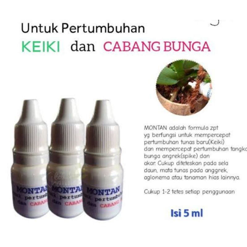 montan penumbuh keiki dan bunga anggrek
