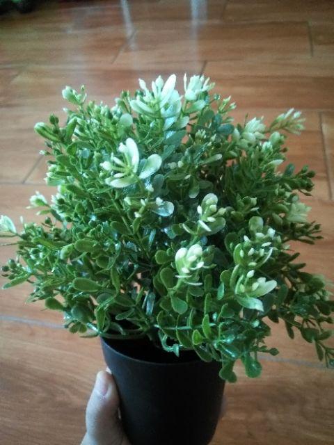 Fejka, Tanaman Tiruan Dalam Pot, Oregano, timi, Rosemary 9 Cm