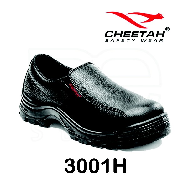 Cheetah 3001H