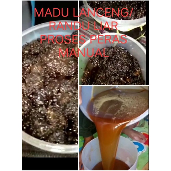 

Madu Lanceng