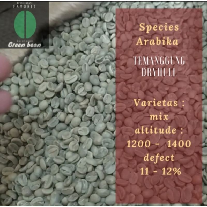 

green Bean / biji kopi Arabika temanggung - 1 kg - dry hull - grade 1