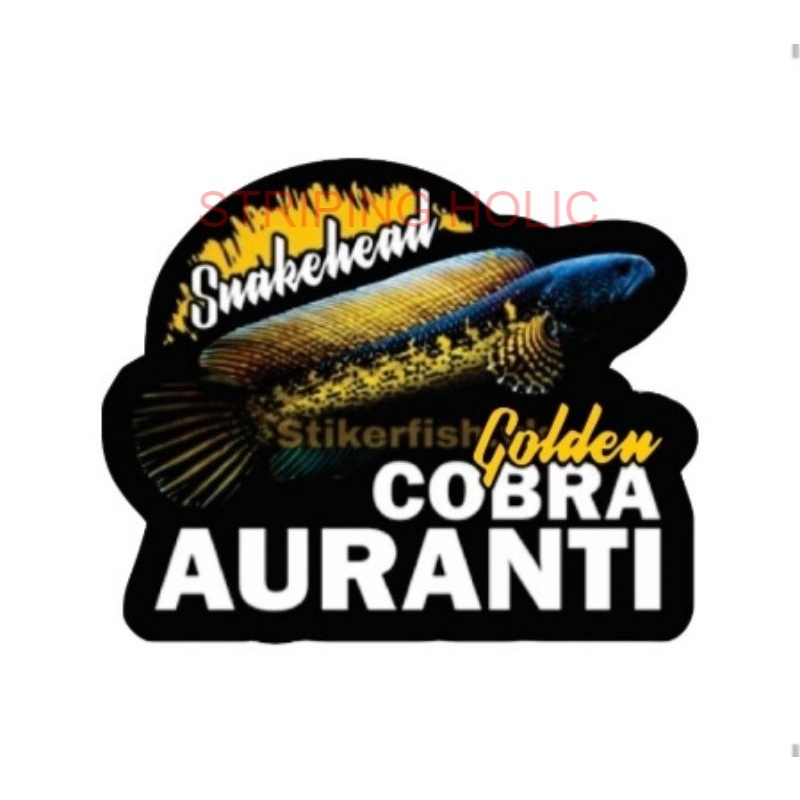 STICKER GOLDEN COBRA AURANTI SNAKEHEAD TERMURAH