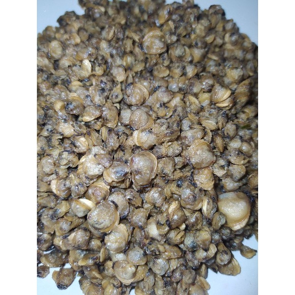 

Goreng Pensi Original Asli Danau Singkarak