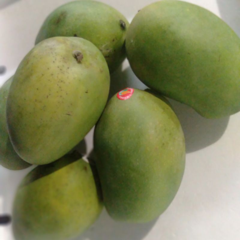 

Mangga Arum Manis Jawa Timur