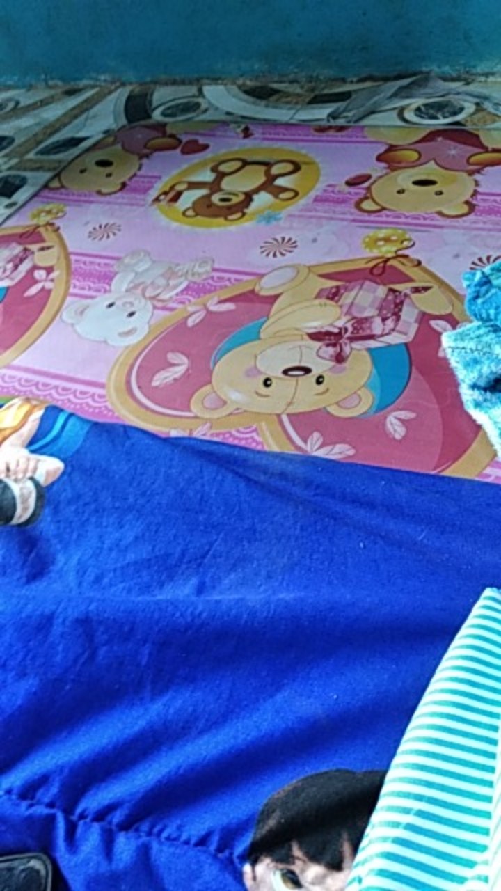 Baskom Abu 20 / Baskom Besar Plastik