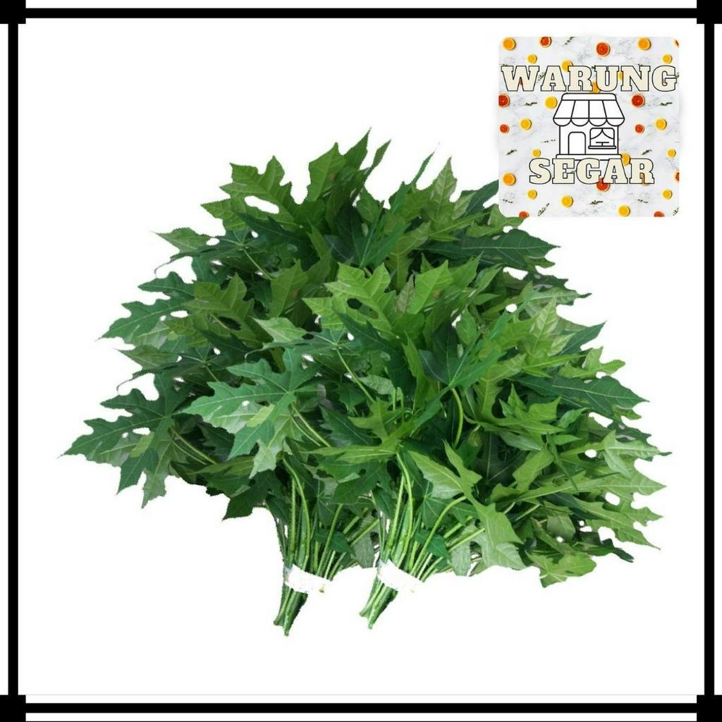 

Daun Pepaya Jepang - Per ikat WarungSeger