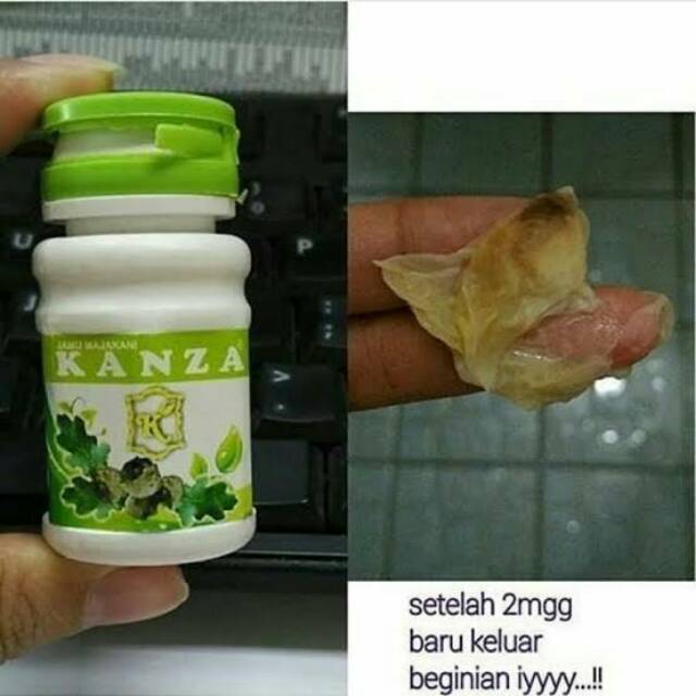 Manjakani kanza / majakanza /maja kanza / obat keputihan