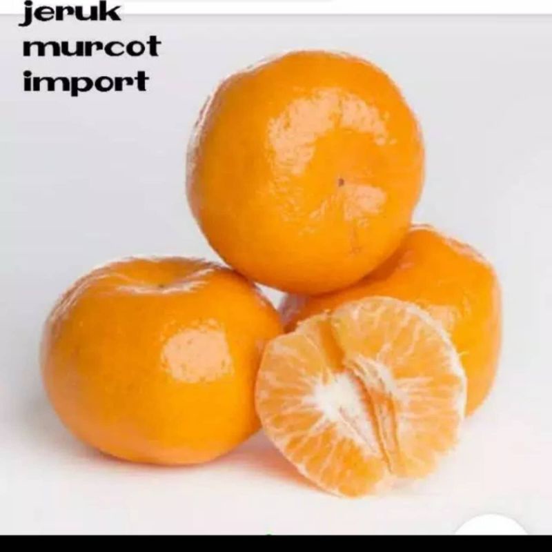 

jeruk morcot wogan-kino