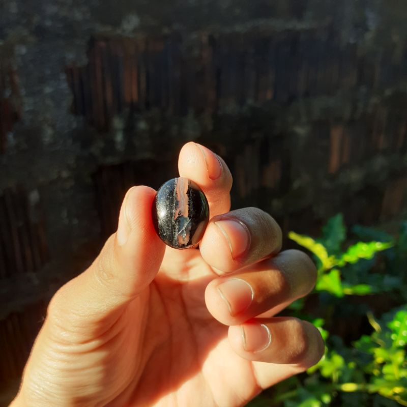 Fosil/les kelor kendit