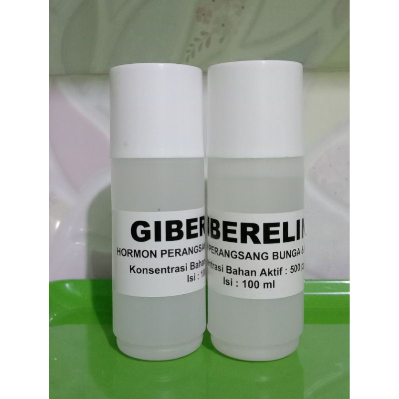 Hormon Tanaman Giberelin