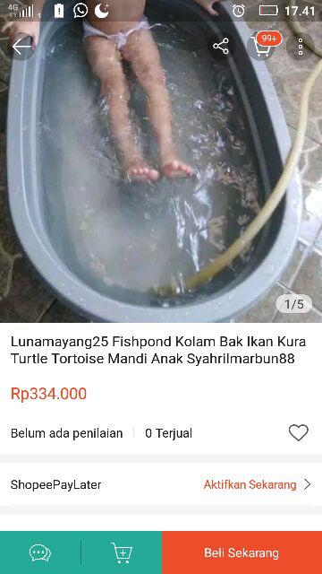 Fishpond M | Kolam Ikan Plastik | Bak Aquarium Ikan
