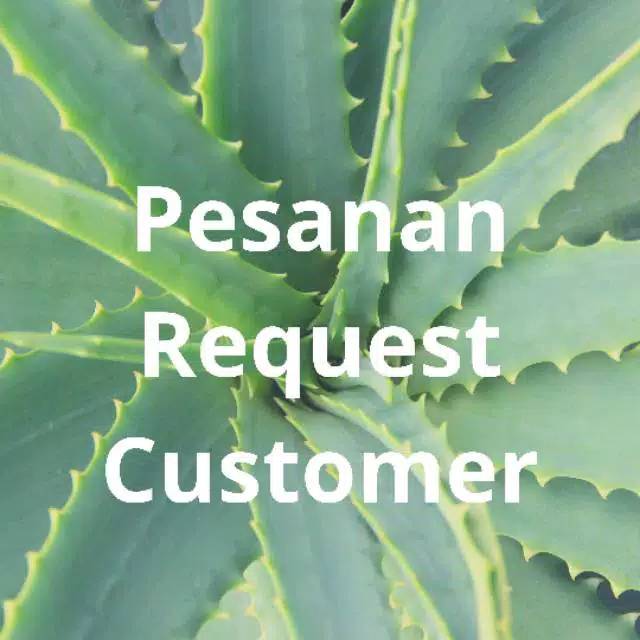 Pesanan customer