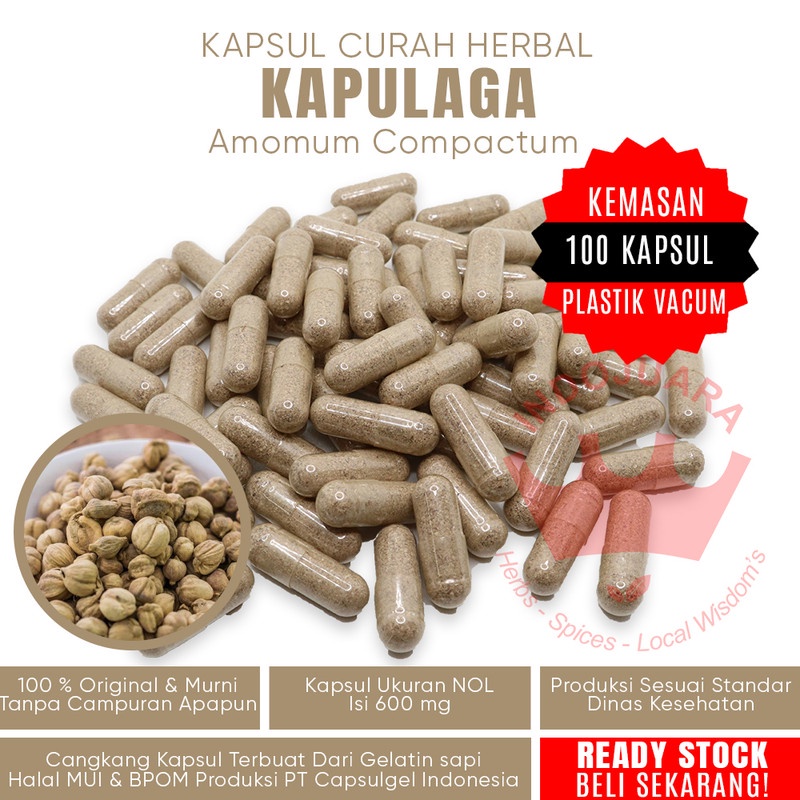 

100 Kapsul KAPULAGA Herbal Kepadatan Tulang Penghilang Bau Mulut Asma