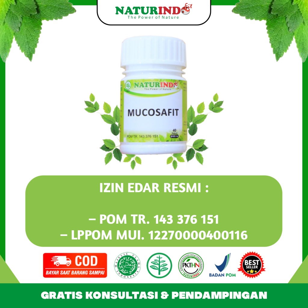 Obat Herbal Asam Lambung Tinggi Maag Magh & Gerd Kronis Gastritis Tukak Lambung Akut Sakit Perut Nyeri Ulu Hati Kembung Gangguan Pencernaan Panas Dalam Mucosafit Naturindo Bpom Herbal Paling Ampuh Halal Tanpa Efek Samping-5