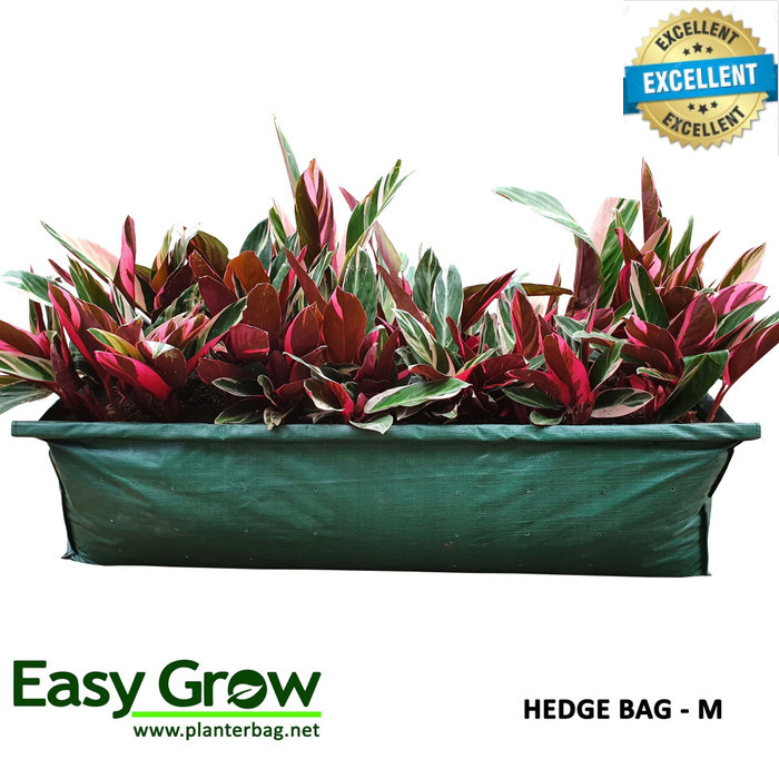 Hedge Planter Bag (Medium)