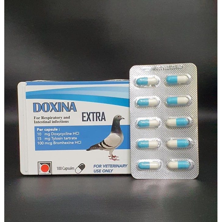 1 STRIP ISI 10 CAPSUL DOXINA EXTRA - AVICENNA LABS - TURKI-ANTIBIOTIK