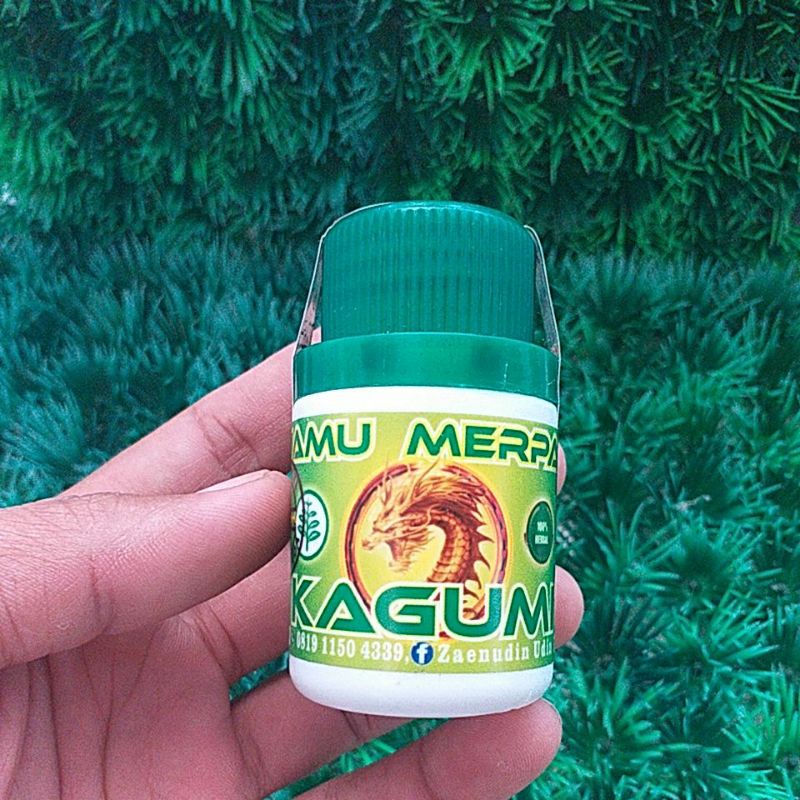 JAMU KAGUMI UNTUK STAMINA MERPATI