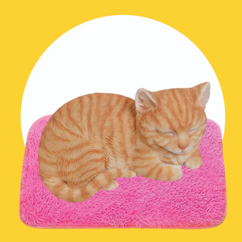 KARPET KUCING - Alas Tidur Kucing Karpet Bulu Kucing Tempat Tidur Kucing Kasur Kucing Karpet Bulu Kucing 40x50