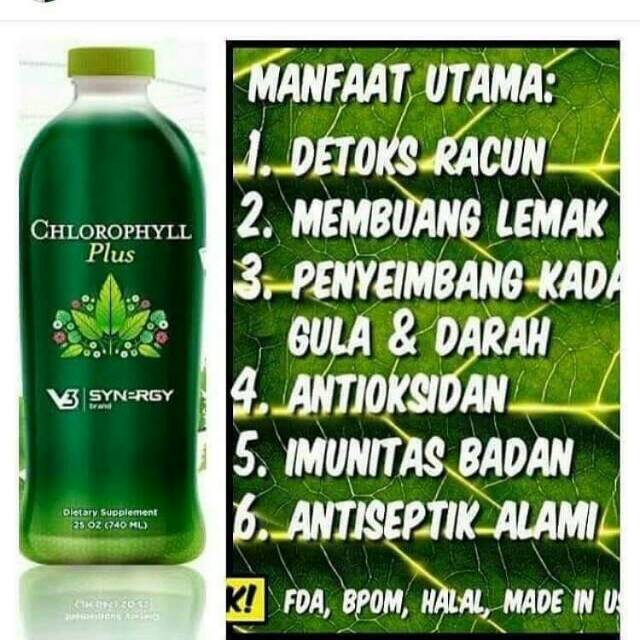 Chlorophyll