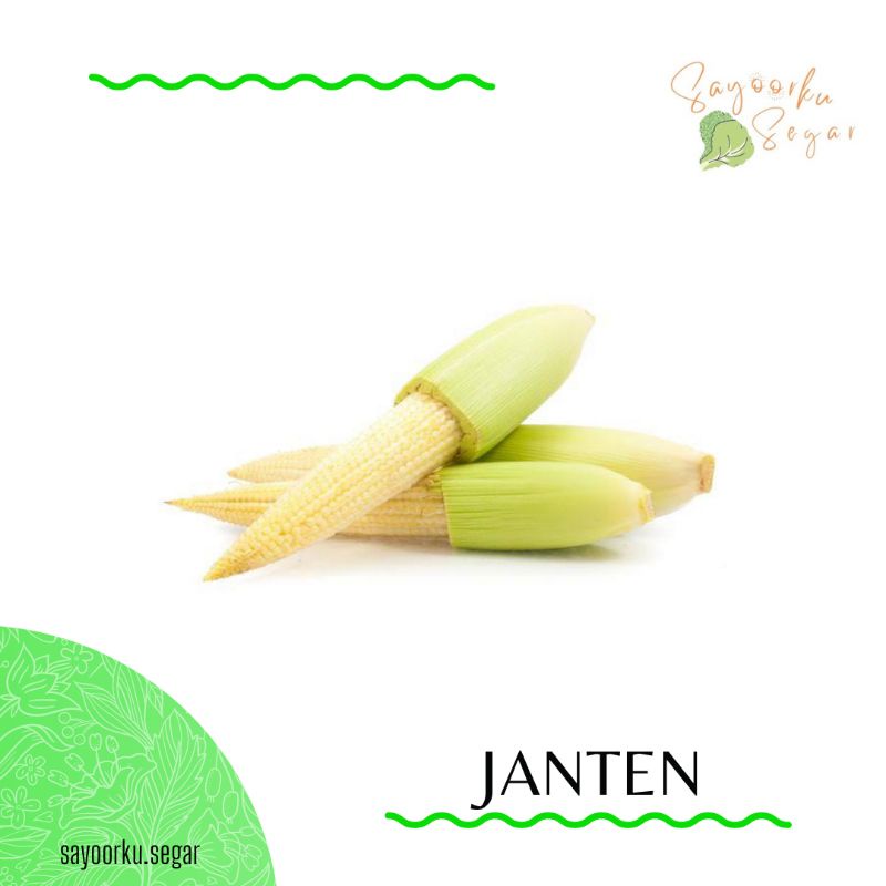 

KIRIM BESOK Jagung baby / Janten / Puntren 250gr