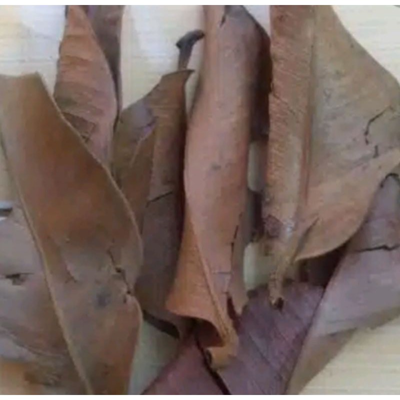 

herbal daun manggis kering 100 gram