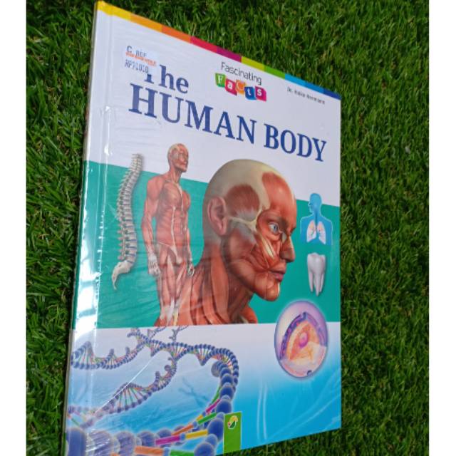 The Human Body