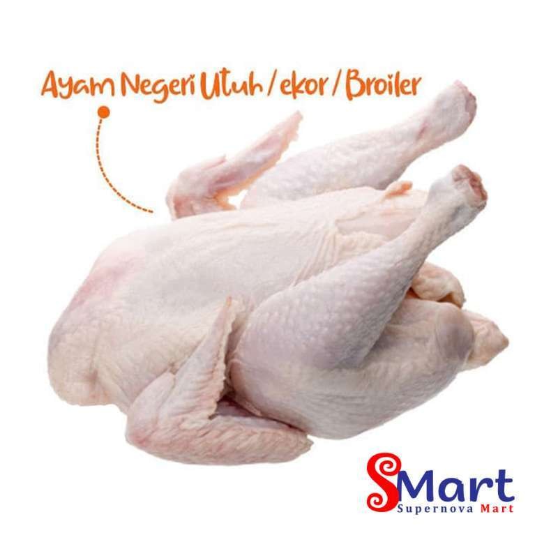 

Ayam Potong Utuh berat 1.5 - 2 kg