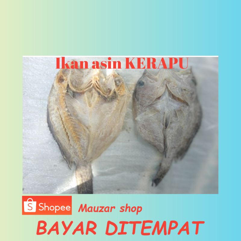 

IKAN ASIN KERAPU