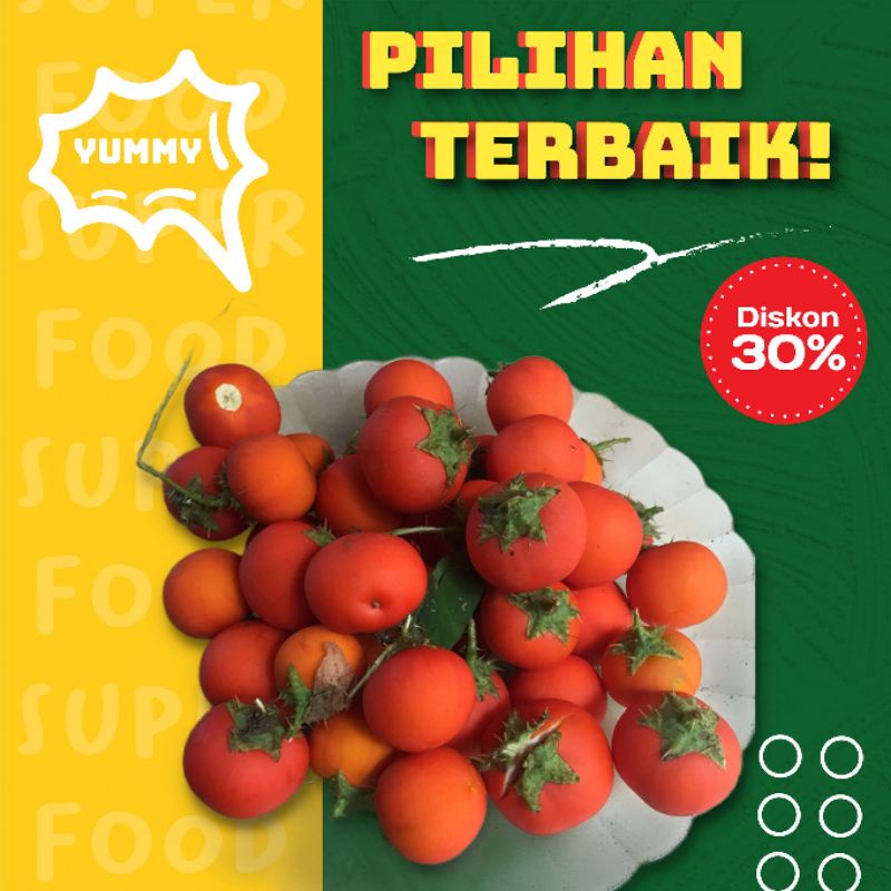 

Terong pari isi 10 buah obat herbal