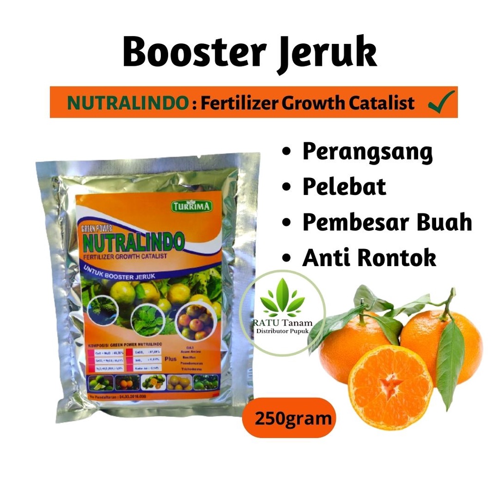 Pupuk Booster Organik Jeruk,  Pupuk Jeruk Santang Madu Cepat Berbuah, Booster Jeruk Merangsang Pembu