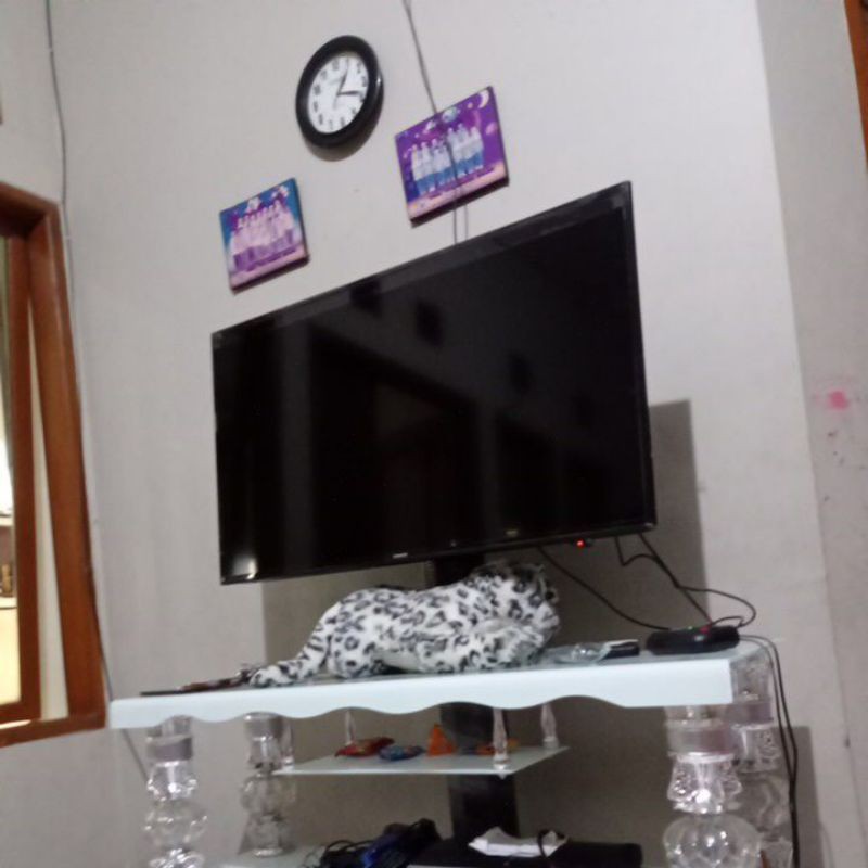kesehatan pria