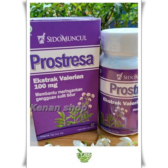 

Discount Obat Herbal Sido muncul - Prostresa meringankan gangguan sulit tidur /OBAT HERBAL ASAM URAT/OBAT HERBAL PELANGSING/OBAT HERBAL KOLESTEROL/OBAT HERBAL DIABETES