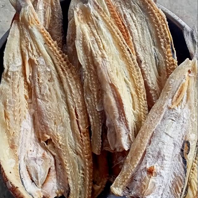 

Ikan gabus