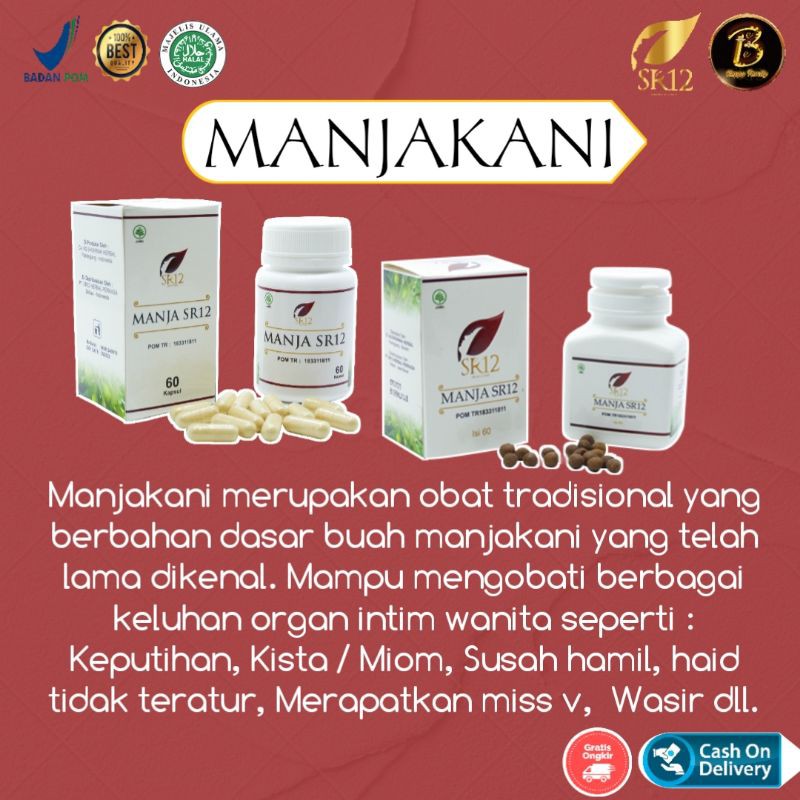 Manjakani Manjakani Sr12 Herbal Manjakani Promil Manjakani Pelancar Haid Solusi Keputihan Indonesia