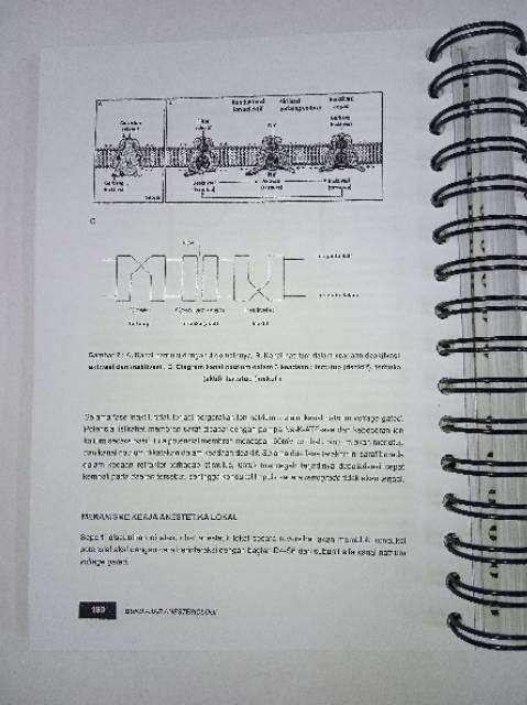 Buku ajar anestesiologi fkui pdf