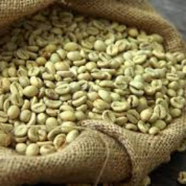 

GREND BEAN ROBUSTA GRAND 1
