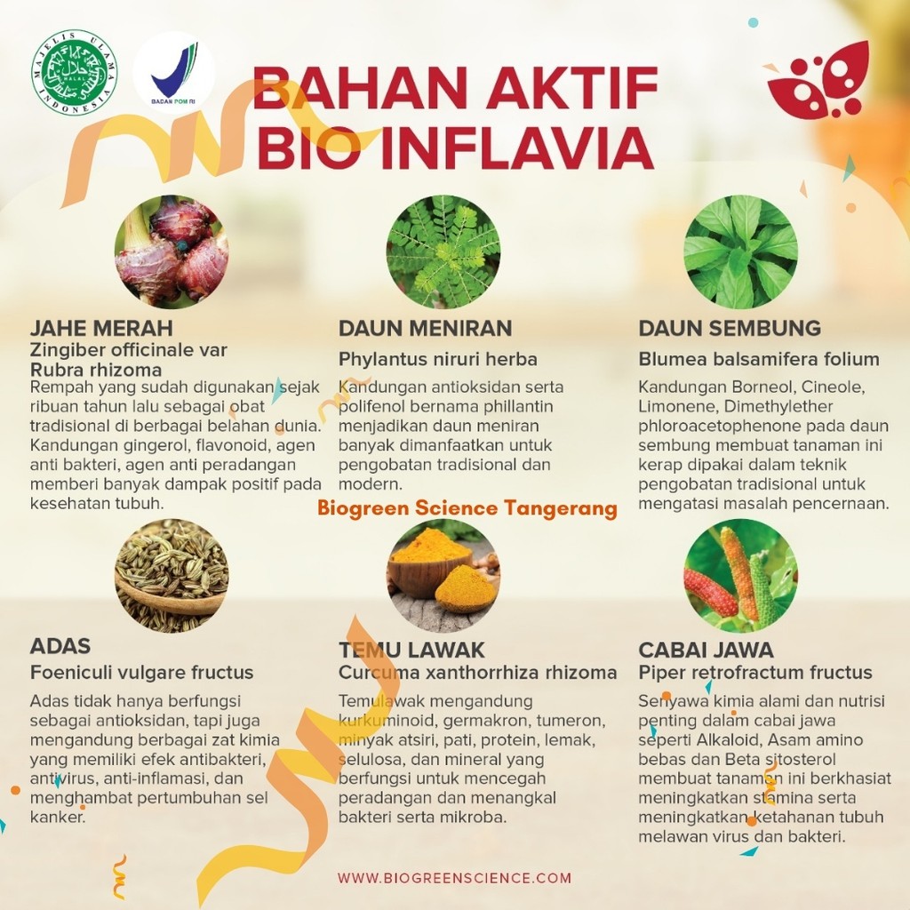 Bio Inflavia Jamu Modern Anti Radang Perkuat Imunitas Herbal Alami Shopee Indonesia