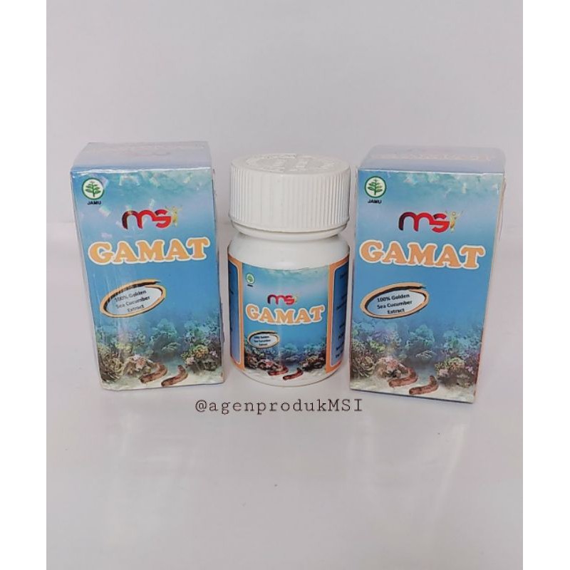 Msi gamat teripang emas