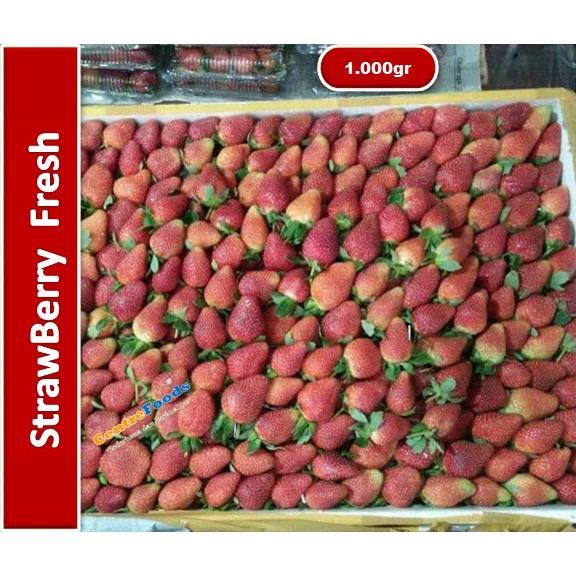 

Buah Strawberry Lokal - West Java | 1.000gr [ Harga Per KG ]