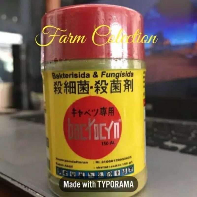 BACTOCYN 100 ml Bakterisida Fungisida