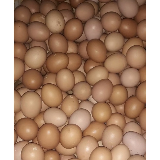 

Telur ayam negri 30butir/Tray