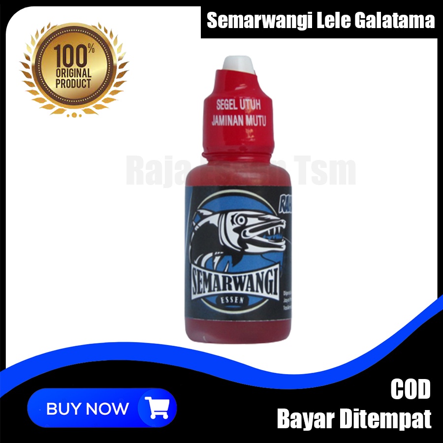 Semarwangi Essen Ikan Lele Galatama Paling Mantap | Essen Galatama Lele Paling Jitu - Essen Lele