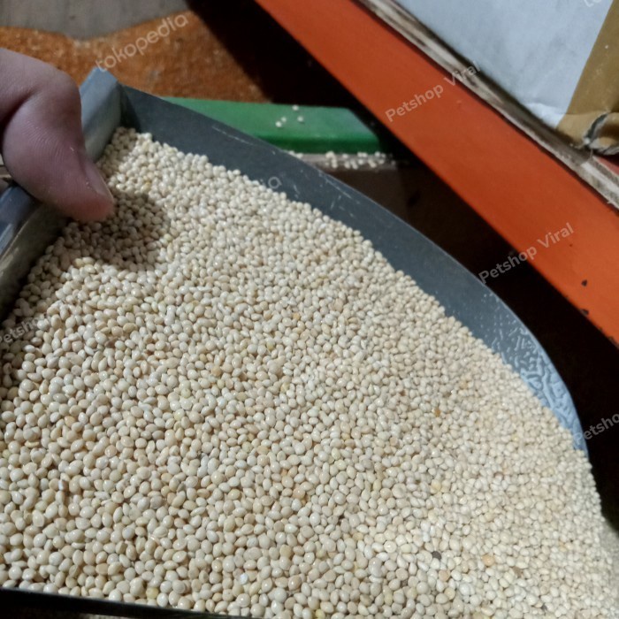 millet putih 1kg makanan burung lovebird/perkutut dll